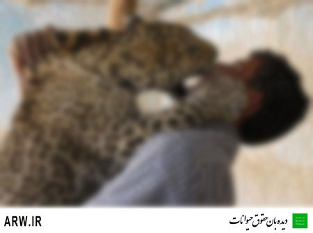 Animal-rights-watch-ARW-113
