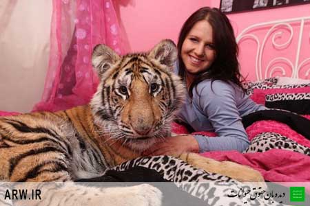 Animal-Rights-Watch--ARW-1-212