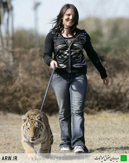 Animal-Rights-Watch--ARW-1-213