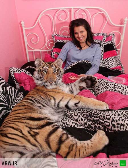 Animal-Rights-Watch--ARW-1-214