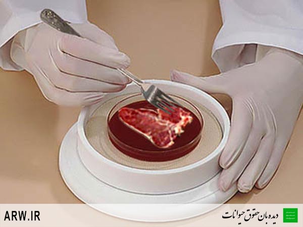 حقوق حیوانات