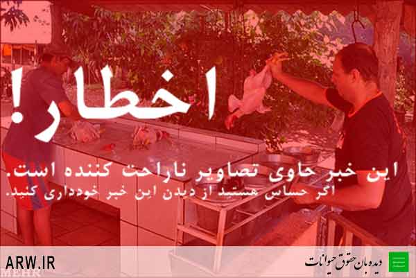 حقوق حیوانات