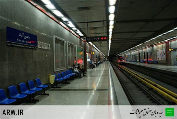 حقوق حیوانات حقوق حیوانات