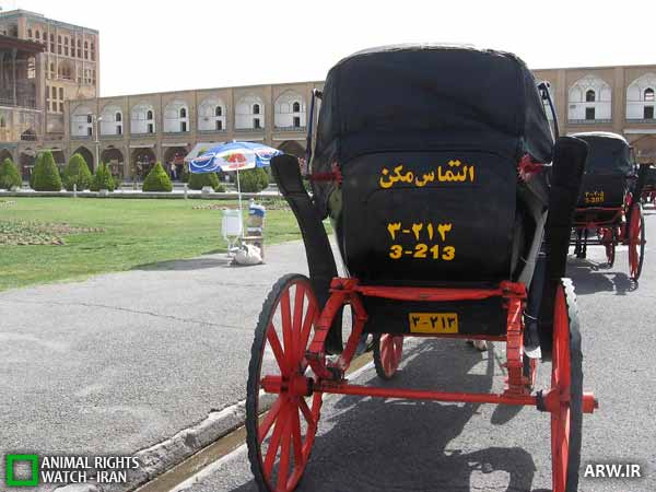 حقوق حیوانات