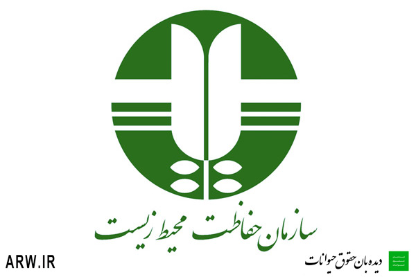 حقوق حیوانات