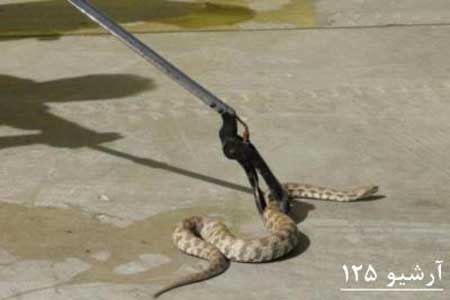 Animal-Rights-Watch--ARW-1-476