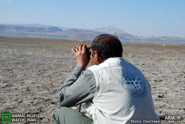 سرشماری