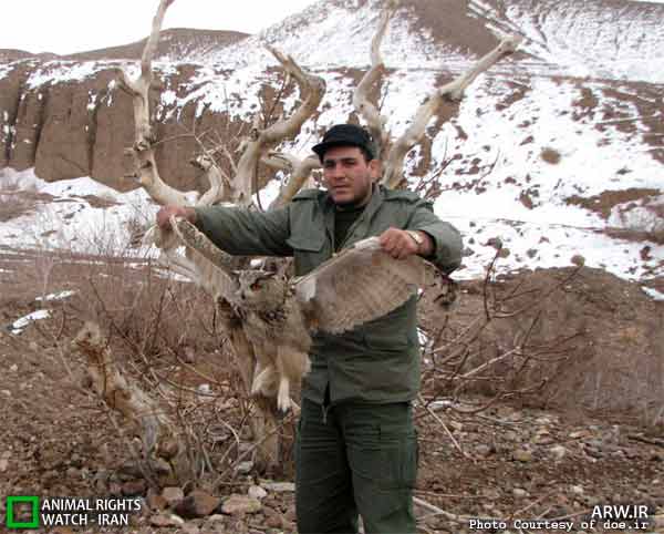 رهاسازی شاه بوف