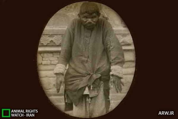 Feral child کودک وحشی