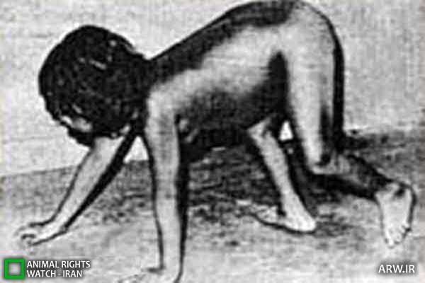 Feral child کودک وحشی
