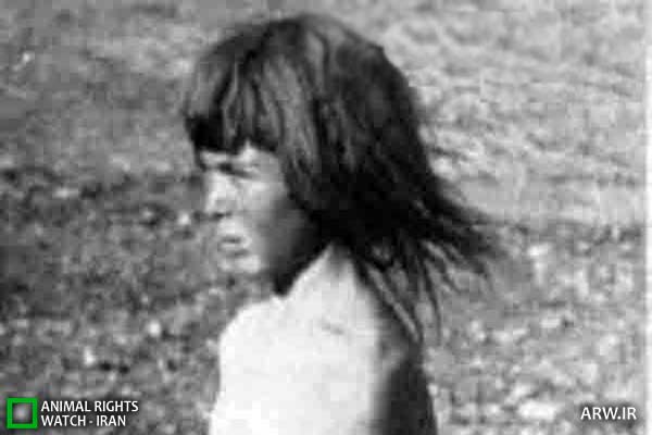 Feral child کودک وحشی