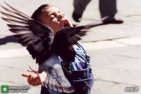 Feral child کودک وحشی