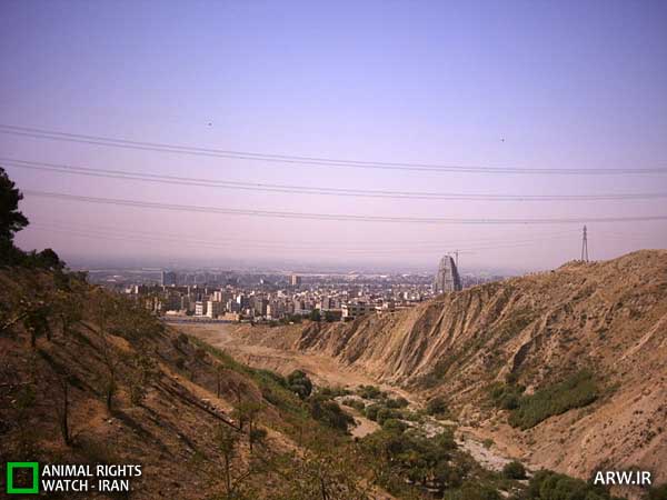 پارک پردیسان
