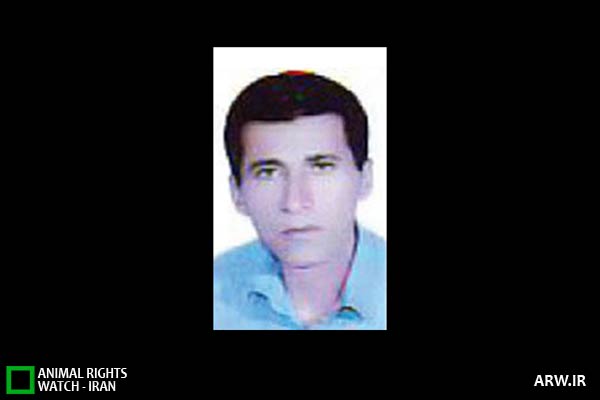 محیط بان دنا اسعد تقی زاده