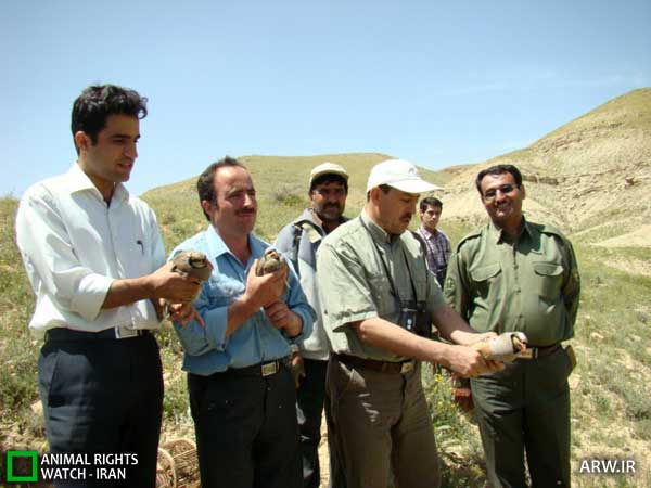 رهاسازی
