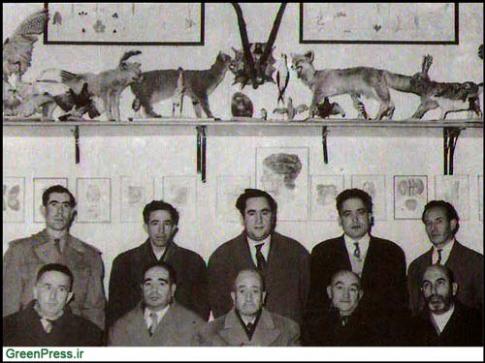 تاکسیدرمی