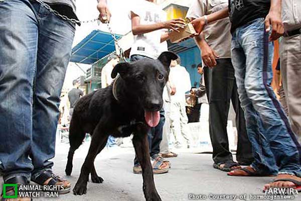 http://arw.ir/wp-content/uploads/2012/05/Animal-Rights-Watch-ARW-3802.jpg