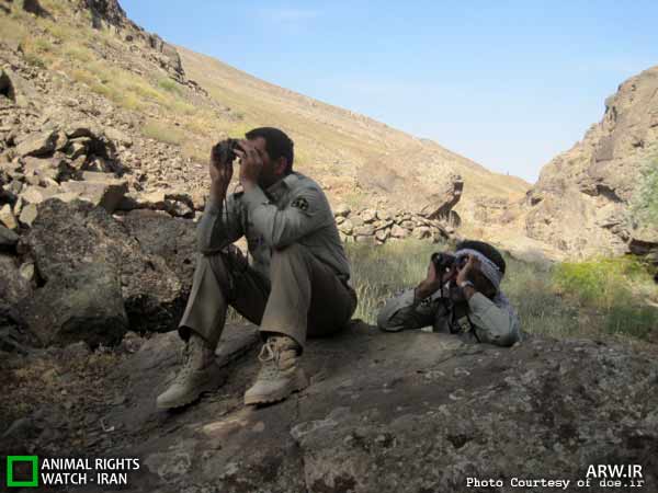 سرشماری