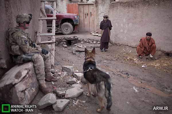 Animal-Rights-Watch-ARW-2479