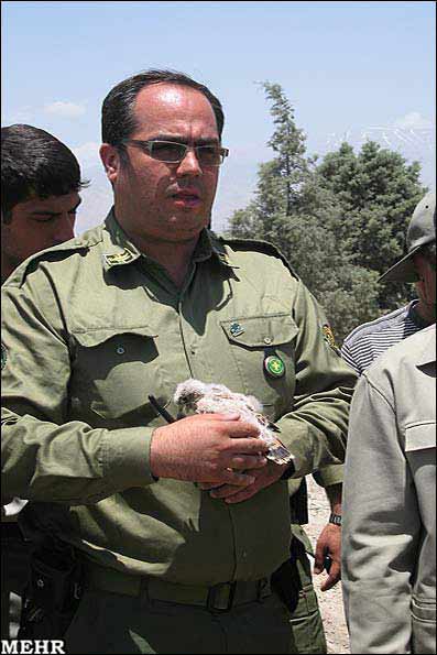 یگان حفاظت محیط زیست