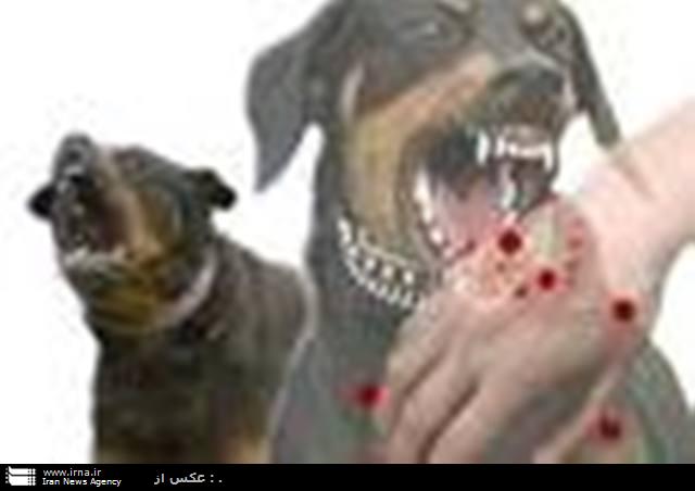 هاری