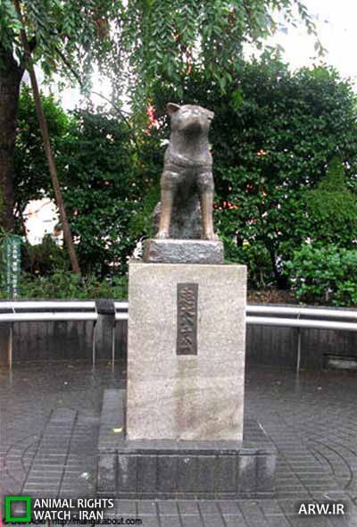 http://arw.ir/wp-content/uploads/2012/07/Animal-Rights-Watch-ARW-4268.jpg