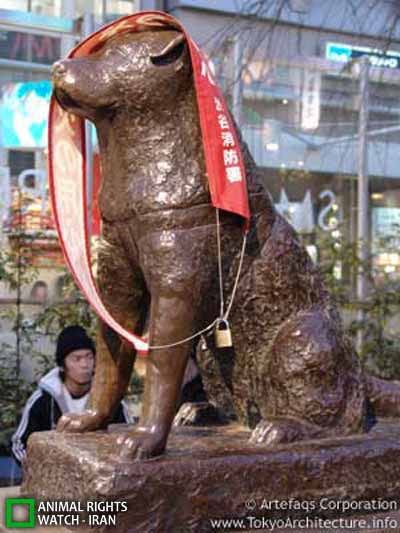 http://arw.ir/wp-content/uploads/2012/07/Animal-Rights-Watch-ARW-4269.jpg