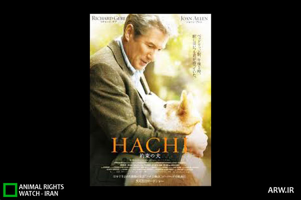 http://arw.ir/wp-content/uploads/2012/07/Animal-Rights-Watch-ARW-4270.jpg