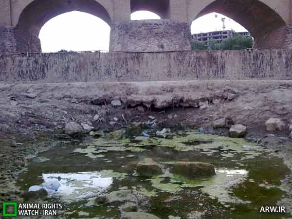 زاینده رود