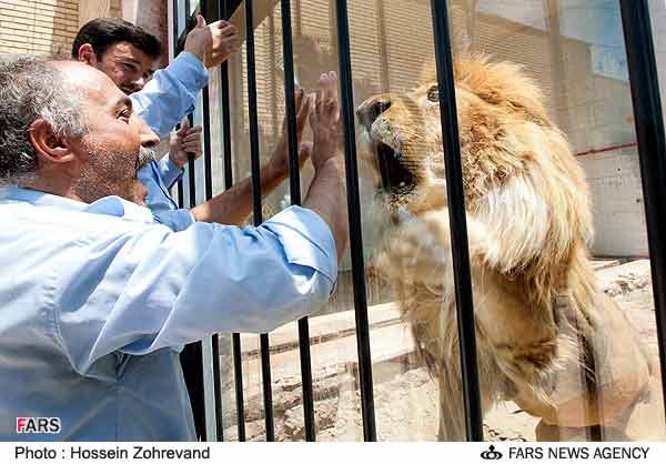 Animal-Rights-Watch-ARW-4537