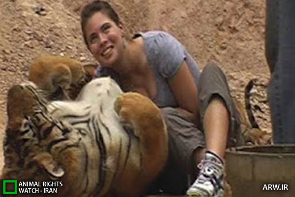 Animal-Rights-Watch-ARW-4646 معبد ببر