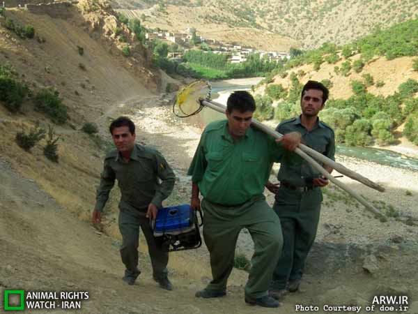 ماهیگیری با برق