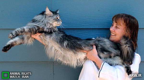 Animal-Rights-Watch--ARW-1-779