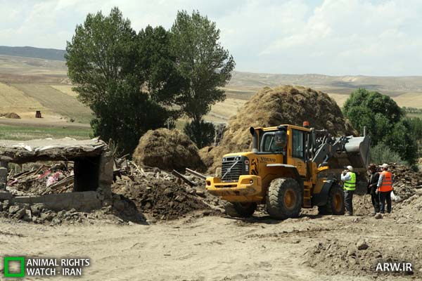 http://arw.ir/wp-content/uploads/2012/09/Animal-Rights-Watch-ARW-4873.jpg