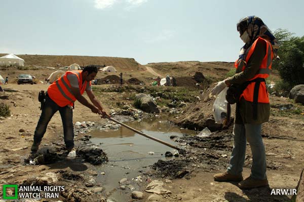 http://arw.ir/wp-content/uploads/2012/09/Animal-Rights-Watch-ARW-4879.jpg