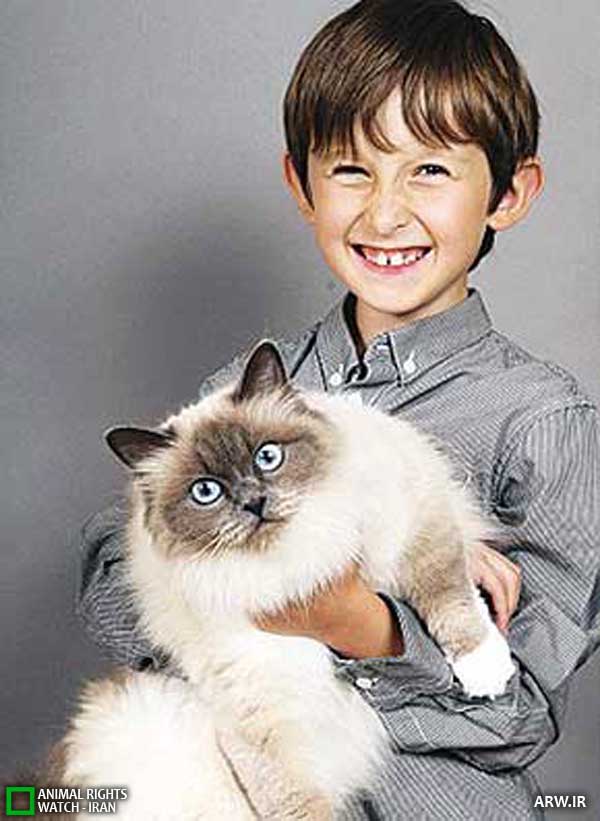 Animal-rights-watch-ARW-240