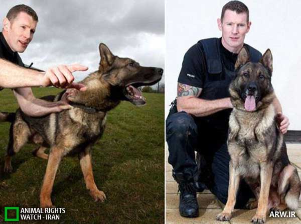 Animal-Rights-Watch--ARW-1-1130