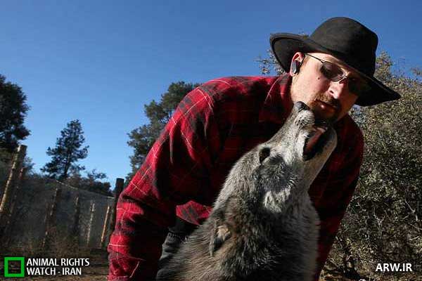 Animal-Rights-Watch--ARW-1-1144