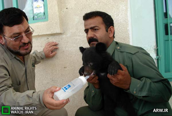 Animal-Rights-Watch-ARW-4453