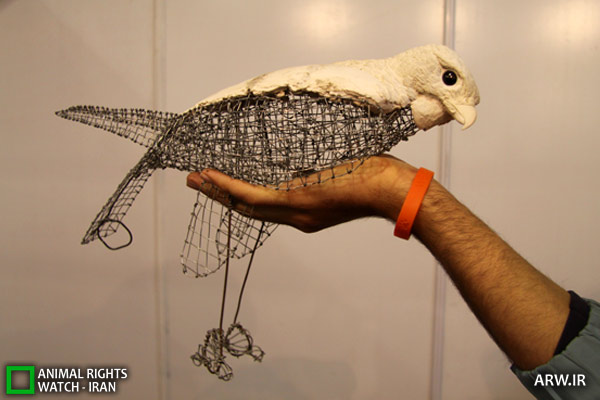 Animal-Rights-Watch-ARW-5555
