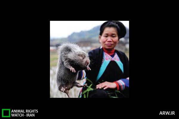 Animal-Rights-Watch-ARW-5567
