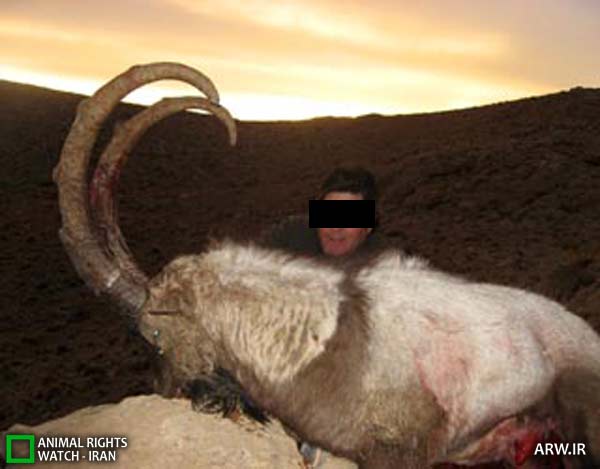 Animal-Rights-Watch-ARW-5606