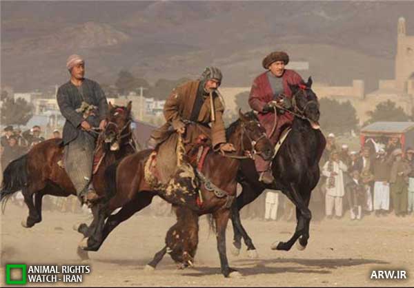 Animal-Rights-Watch--ARW-1-1162