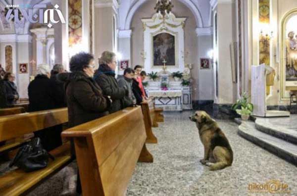 Animal-Rights-Watch--ARW-1-1164