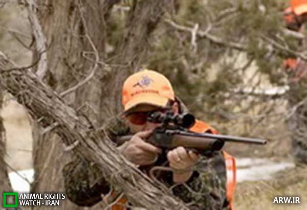 Animal-Rights-Watch--ARW-1-1172