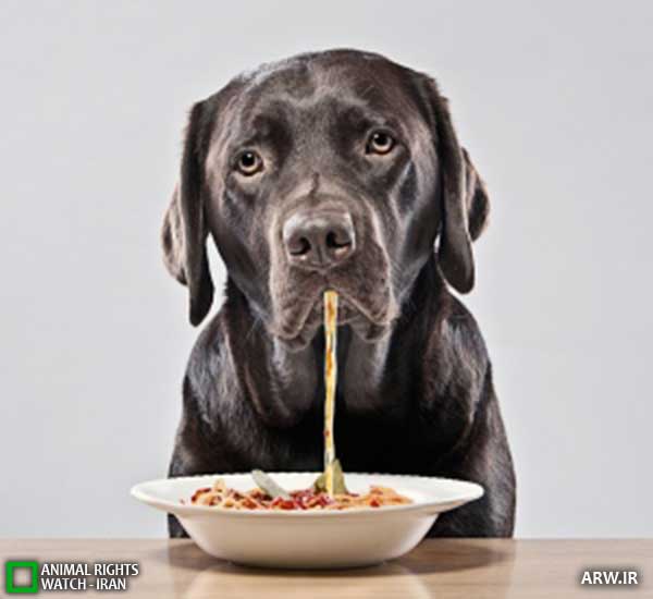 Animal-Rights-Watch--ARW-1-1183