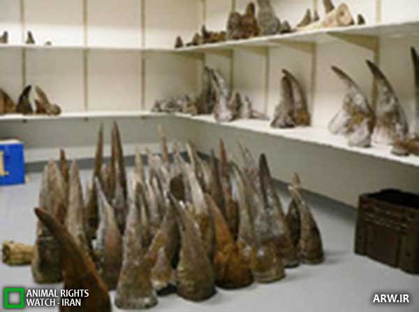 Animal-Rights-Watch--ARW-1-1242