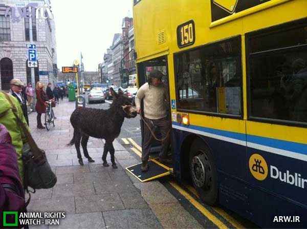 Animal-Rights-Watch--ARW-1-1217