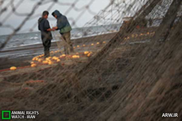 Animal-Rights-Watch--ARW-1-1221
