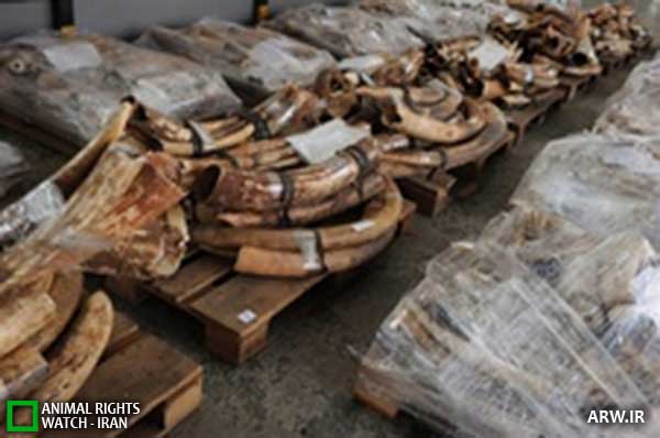 Animal-Rights-Watch--ARW-1-1223